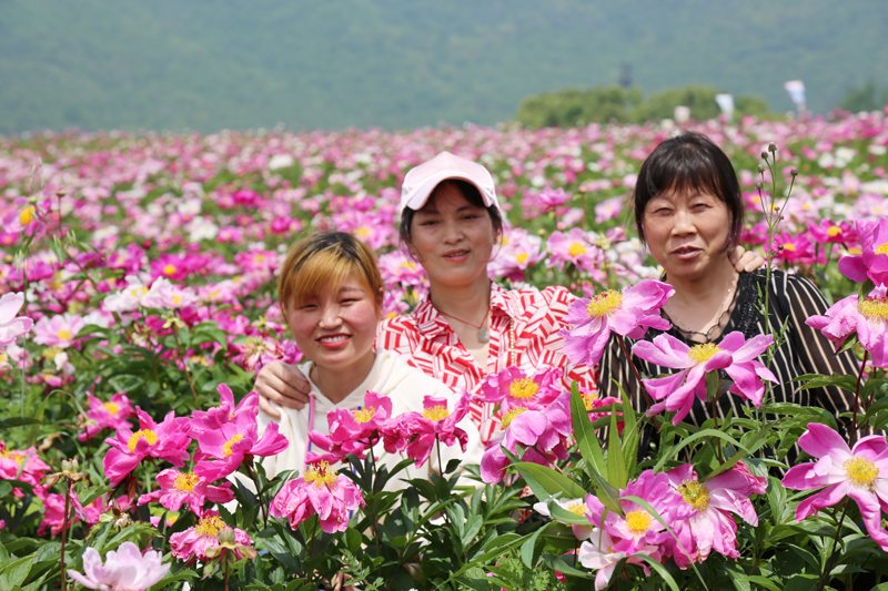 幸福Welcome大发-让Welcome大发一起相约美好 看繁花似锦