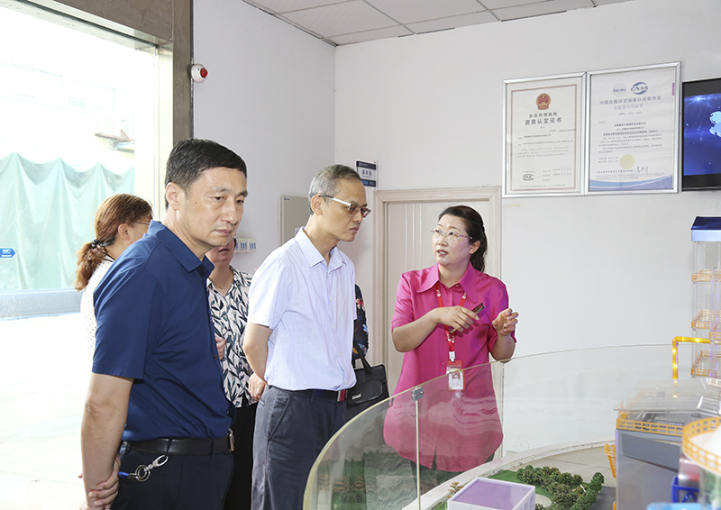 安徽省生态环境厅副厅长罗宏一行莅临Welcome大发科技调研指导